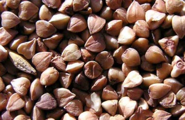 Core of buckwheat